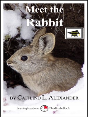 cover image of Meet the Rabbit